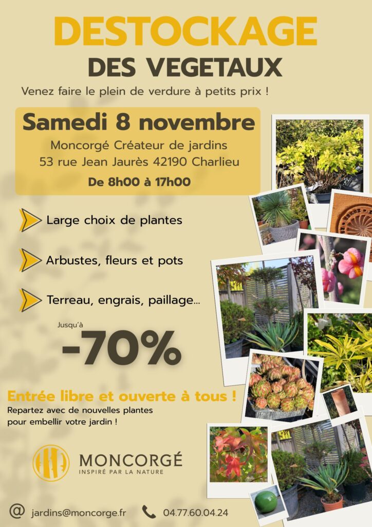 CHARLIEU - DESTOCKAGE VEGETAUX