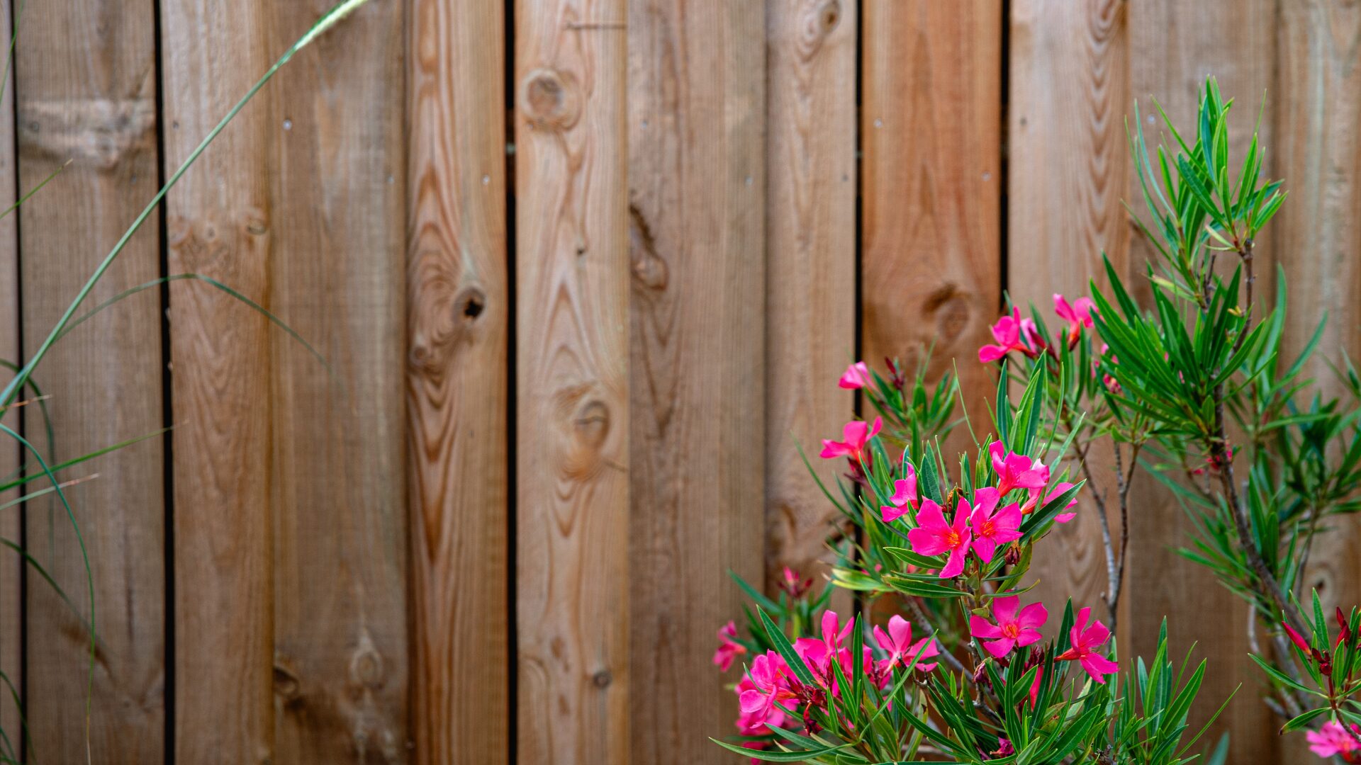 amenagement de jardin roanne - brise vue sur mesure