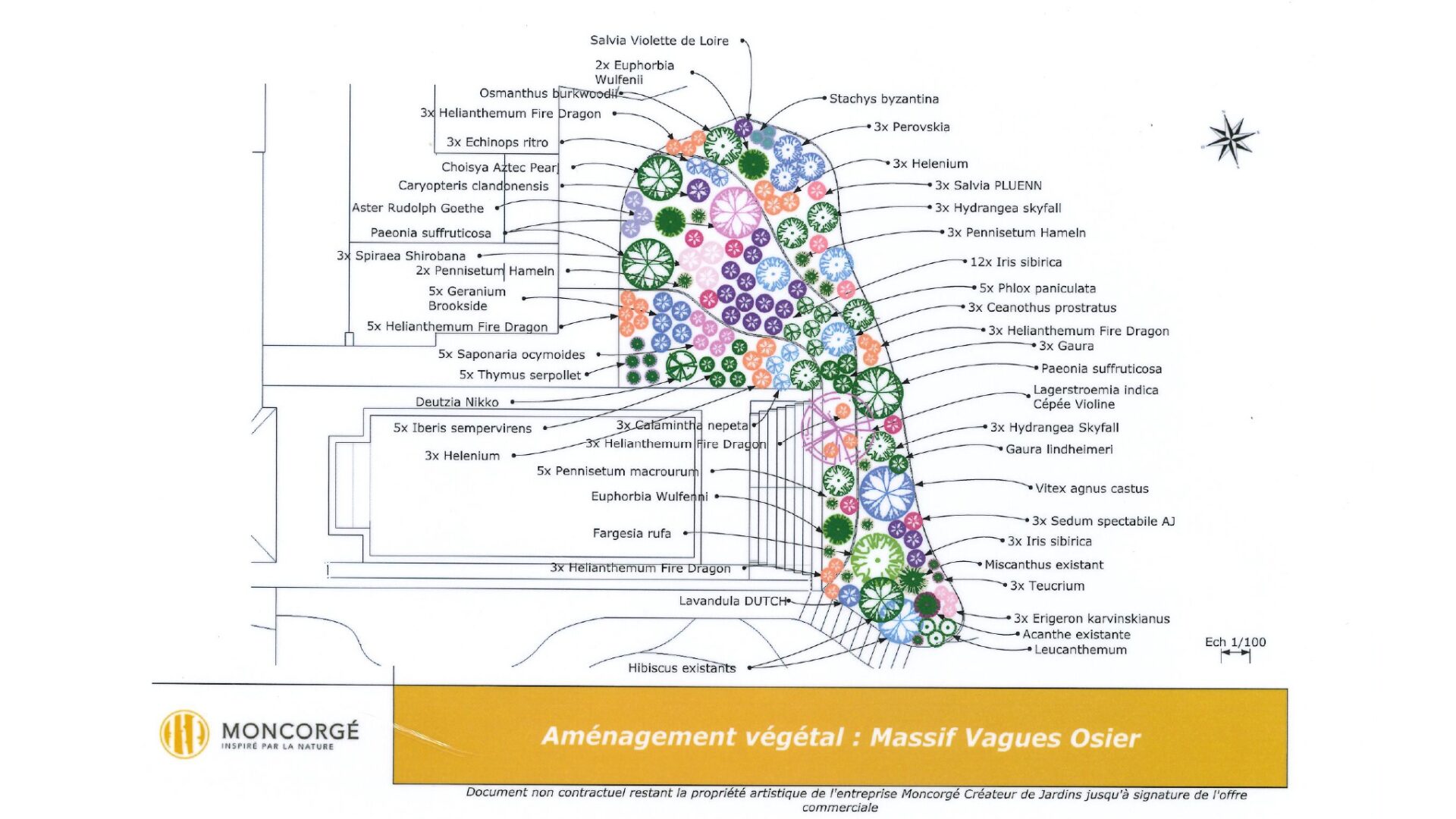 Amenagement vegétal Charlieu - Composition végétal