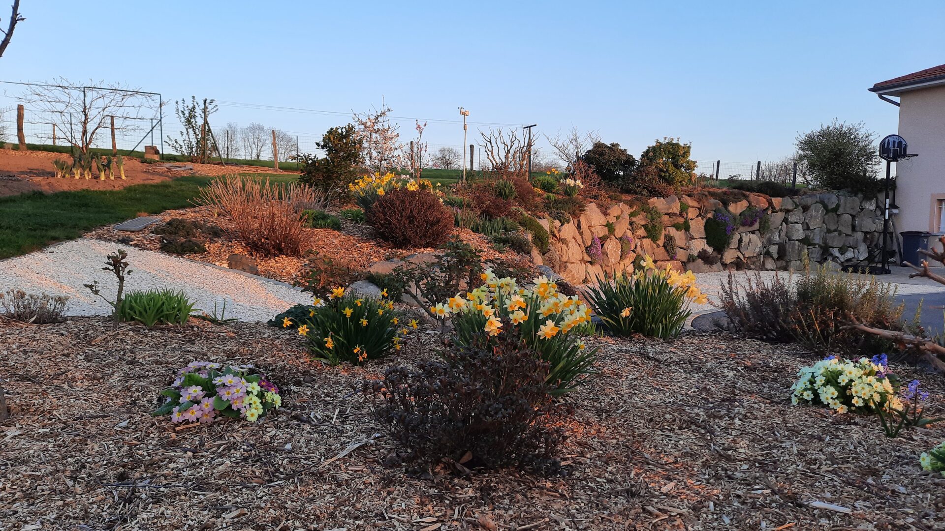 Amenagement vegétal Paray-le-Monial - plantation étudiée