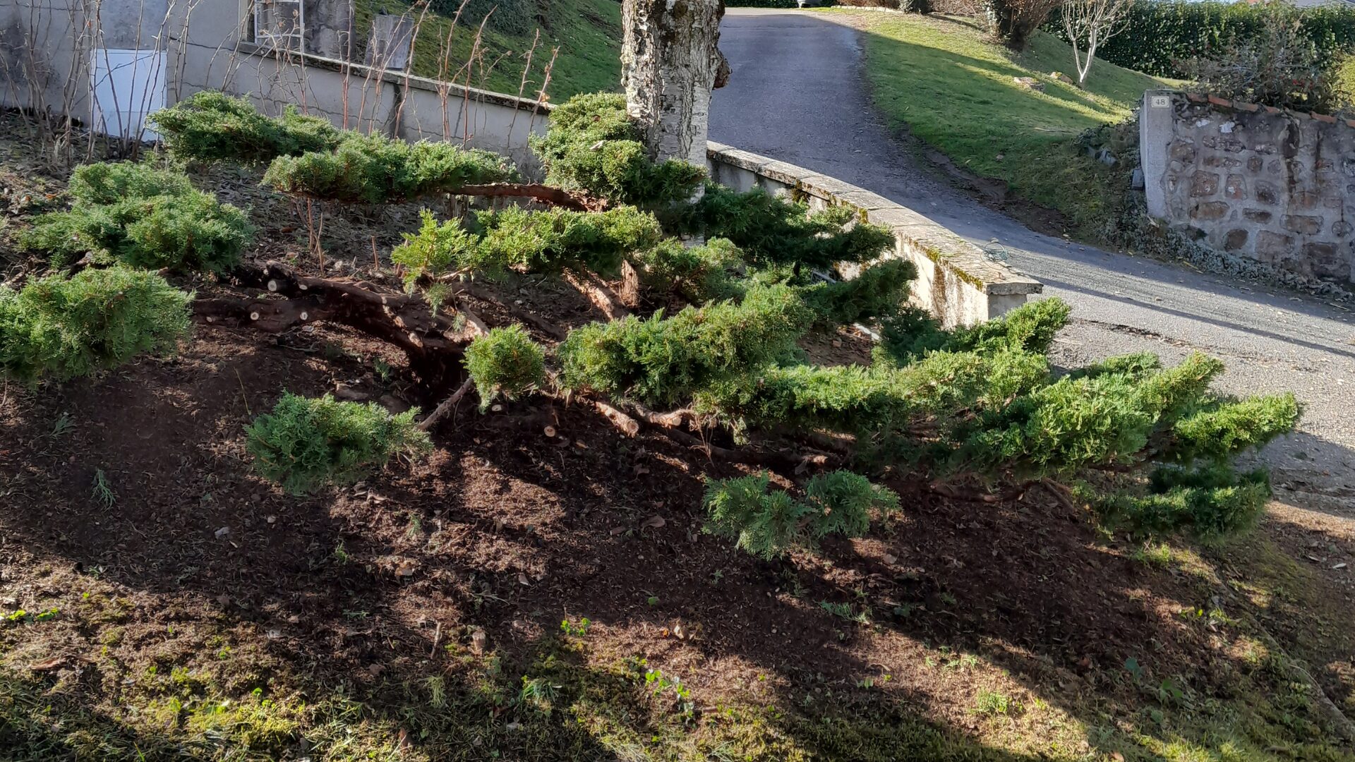 Entretien Paray-le-Monial - Taille