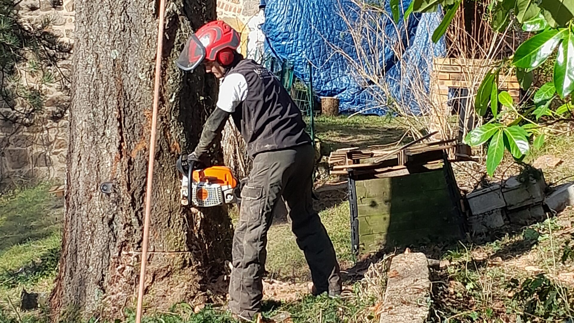 Entretien de jardin Paray-le-Monial - abattage d'arbre