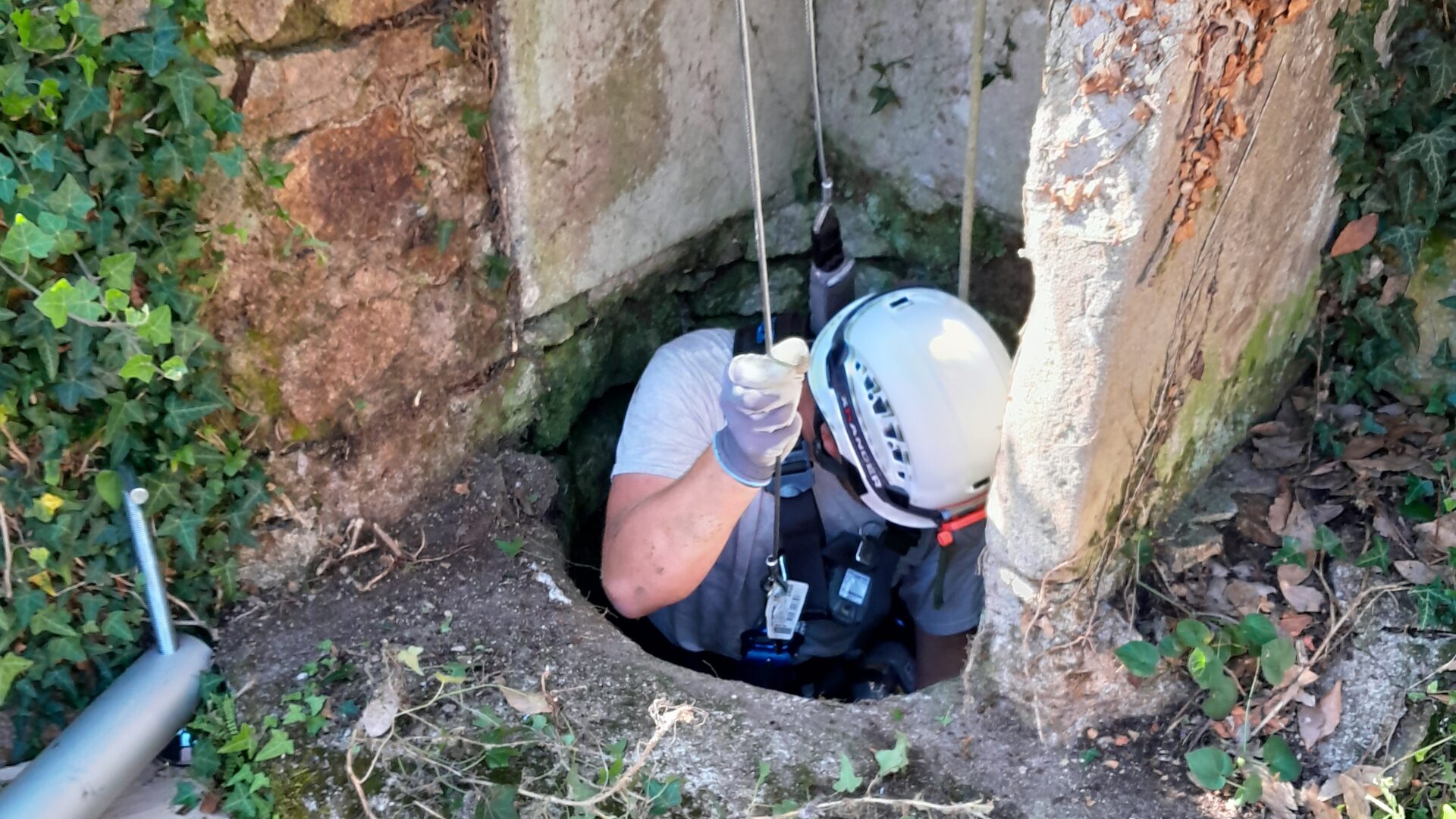 Soins de jardins Charlieu - Services spécialisées - nettoyage de puits - entretien