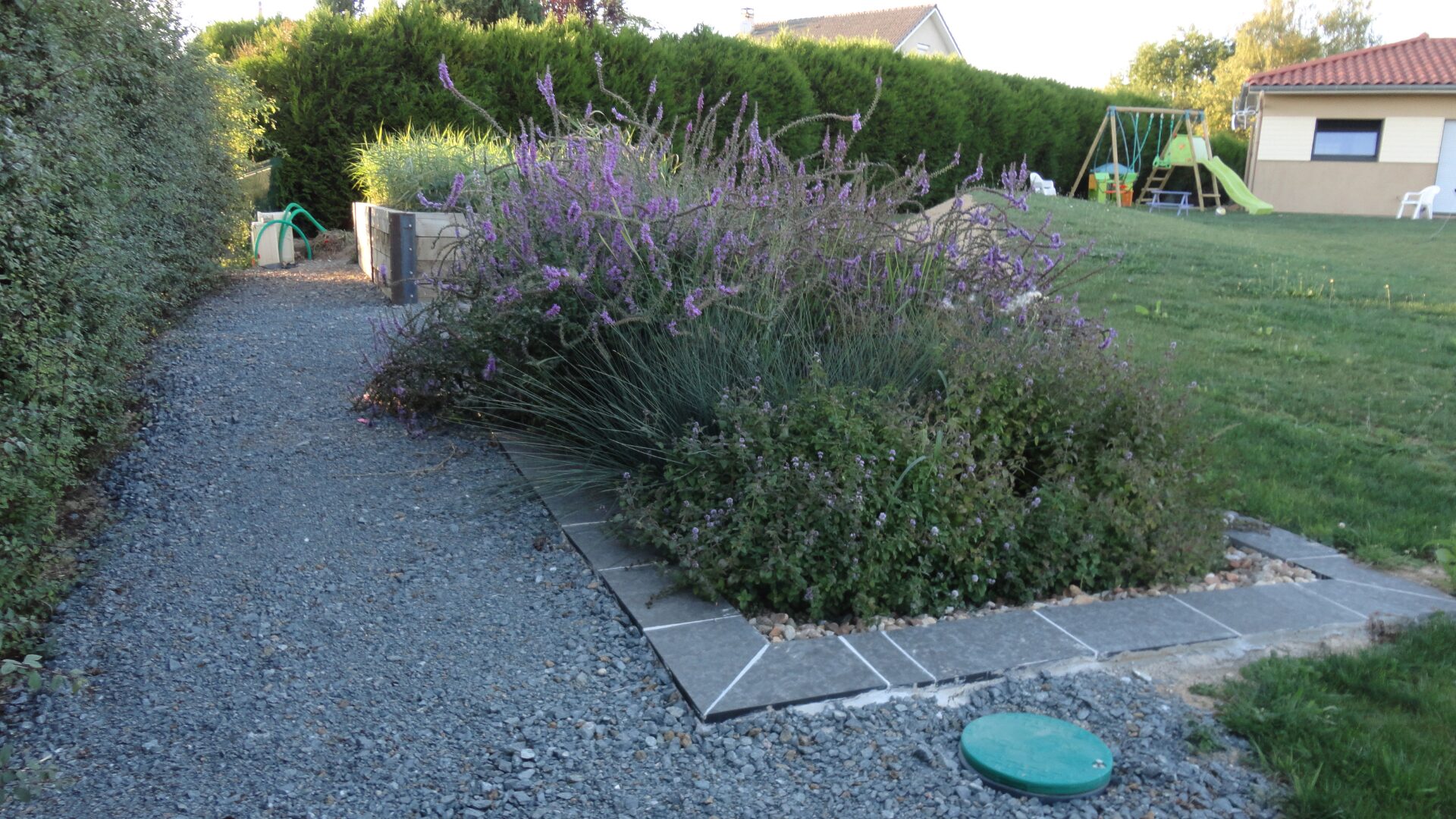 Phyto-épuration Charlieu - alternative à la fausse septique