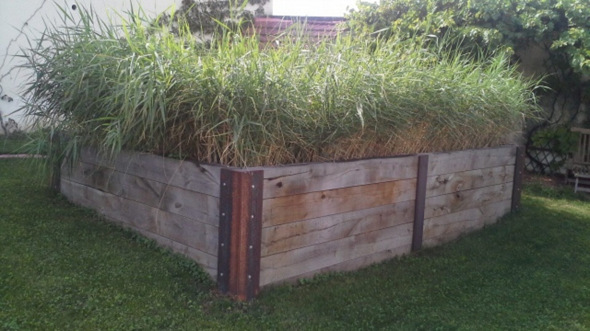 Phyto-épuration Charlieu - traitement des eaux usées par les plantes