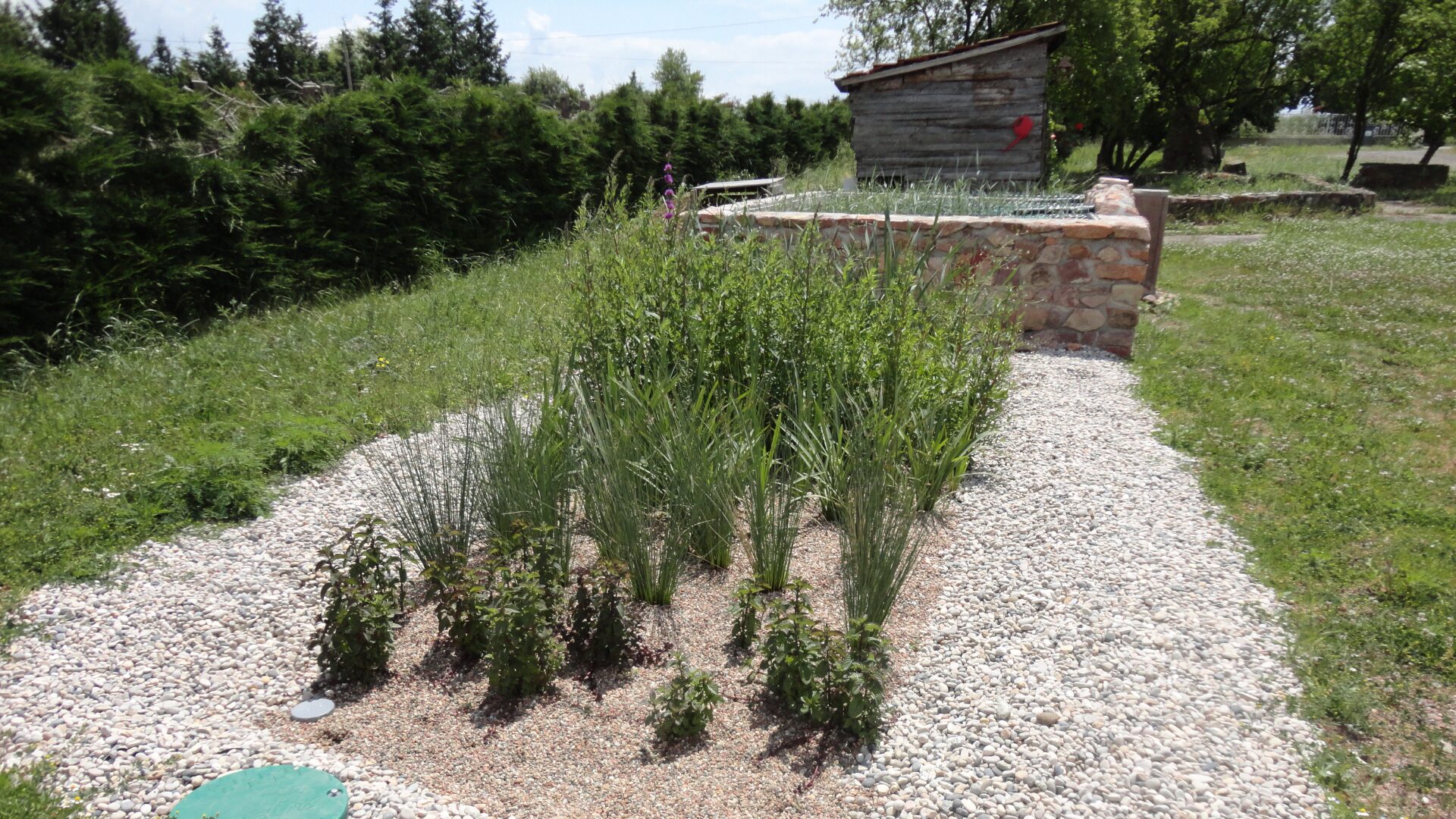 Phyto-épuration Paray-le-Monial - traitement des eaux usées par les plantes - alternative a la fausse septique