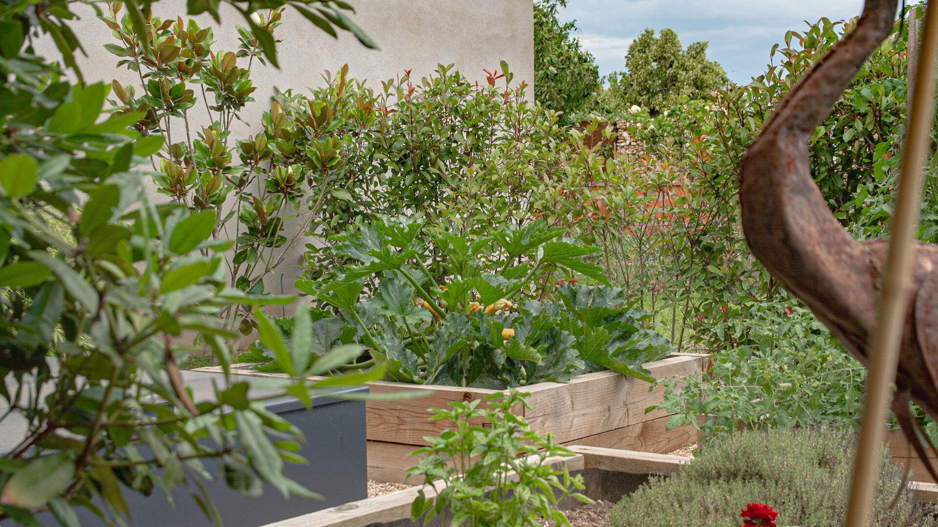 Services spécialisés Paray-le-Monial - Entretien potager