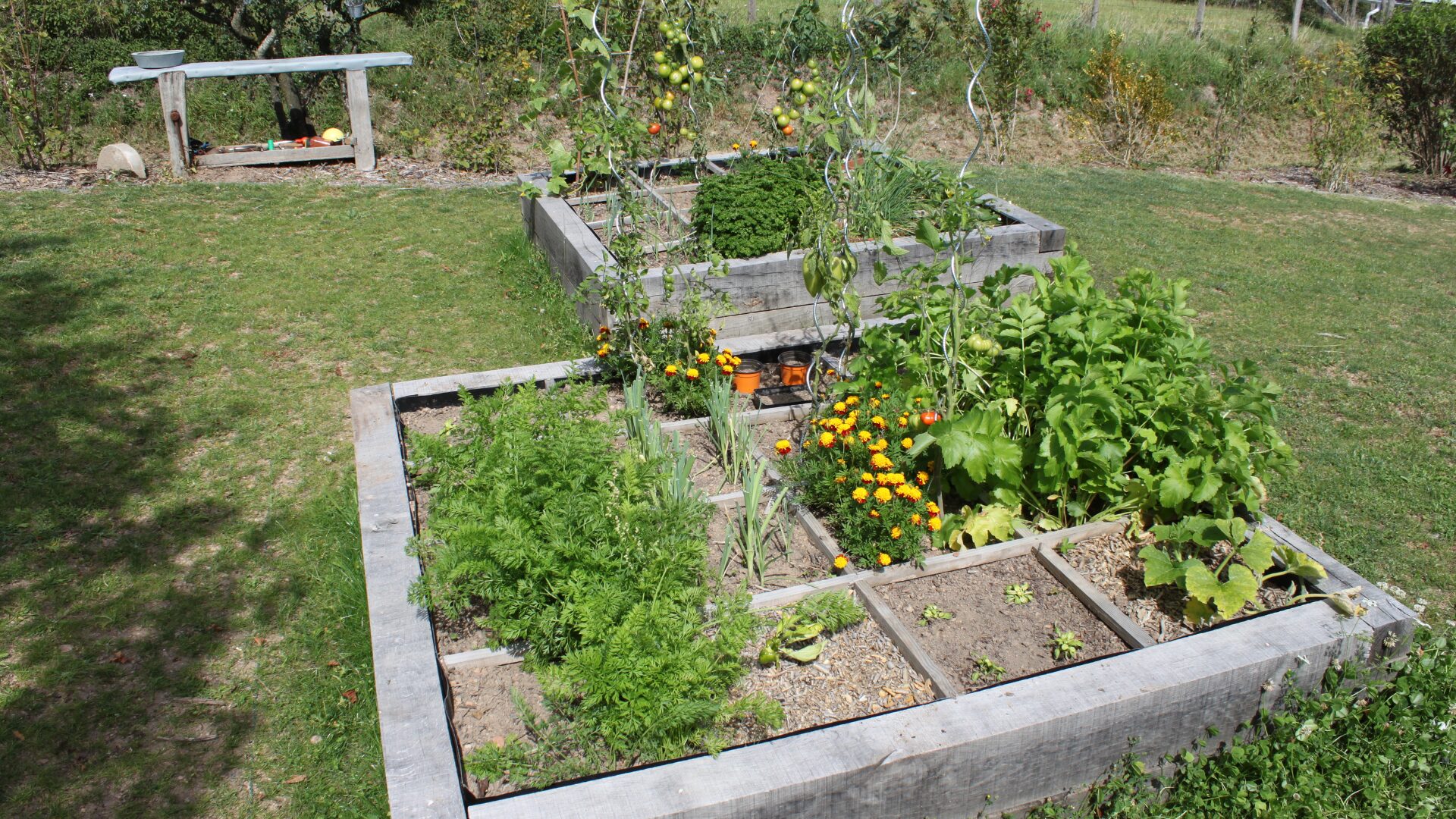 Services spécialisés Paray-le-Monial - potager