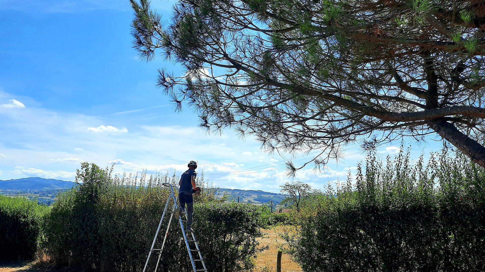 Entretien Roanne - Taille