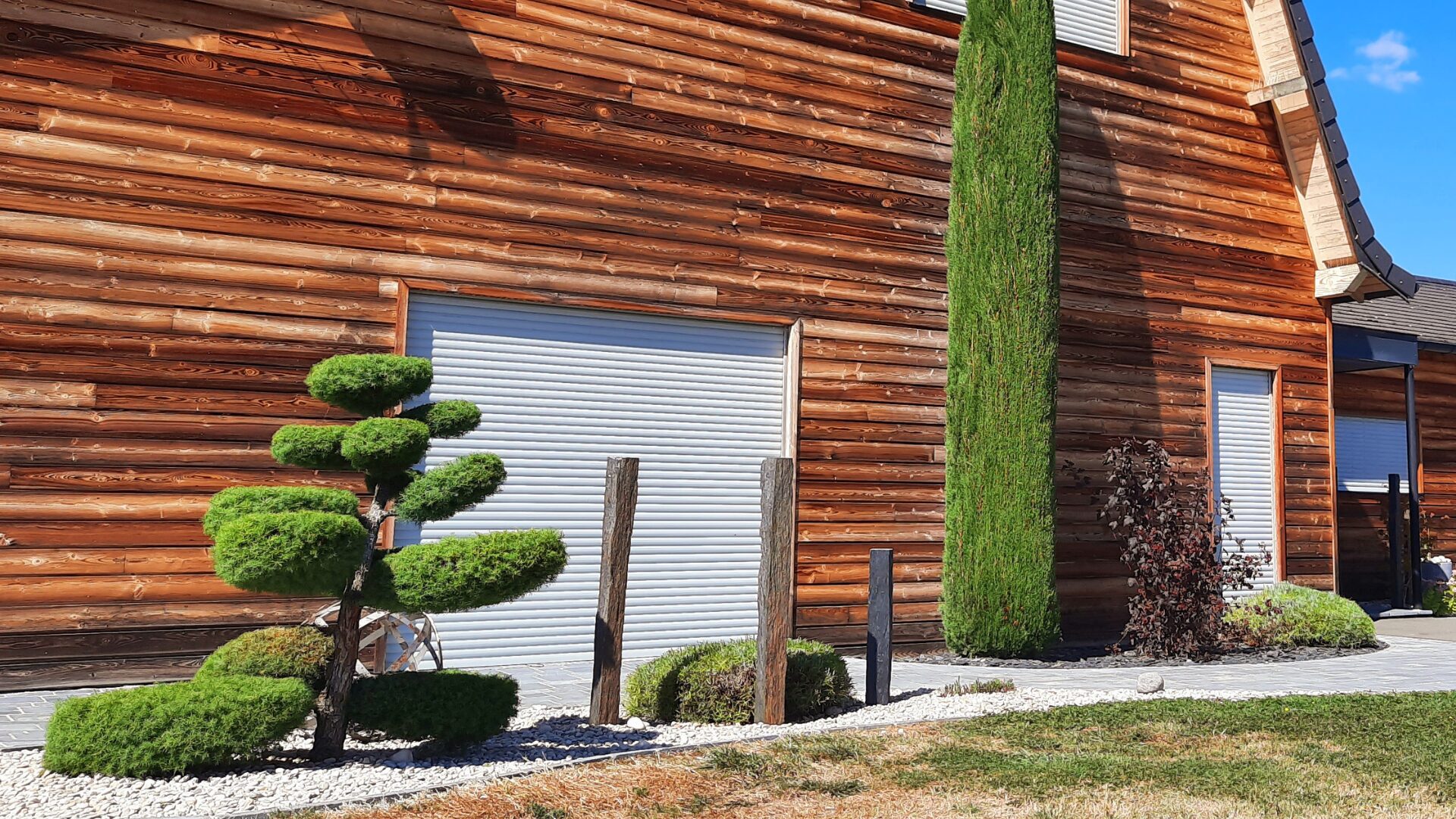 Entretien Roanne - Taille arbustes