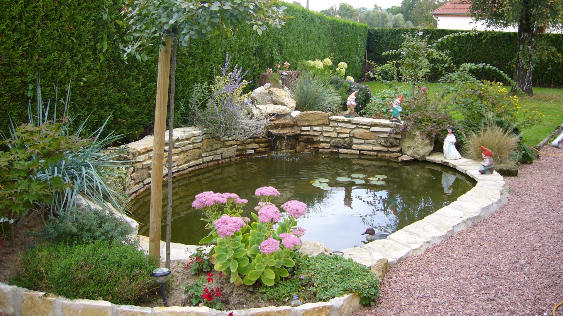 Zone aquatique Charlieu - Bassin paysager