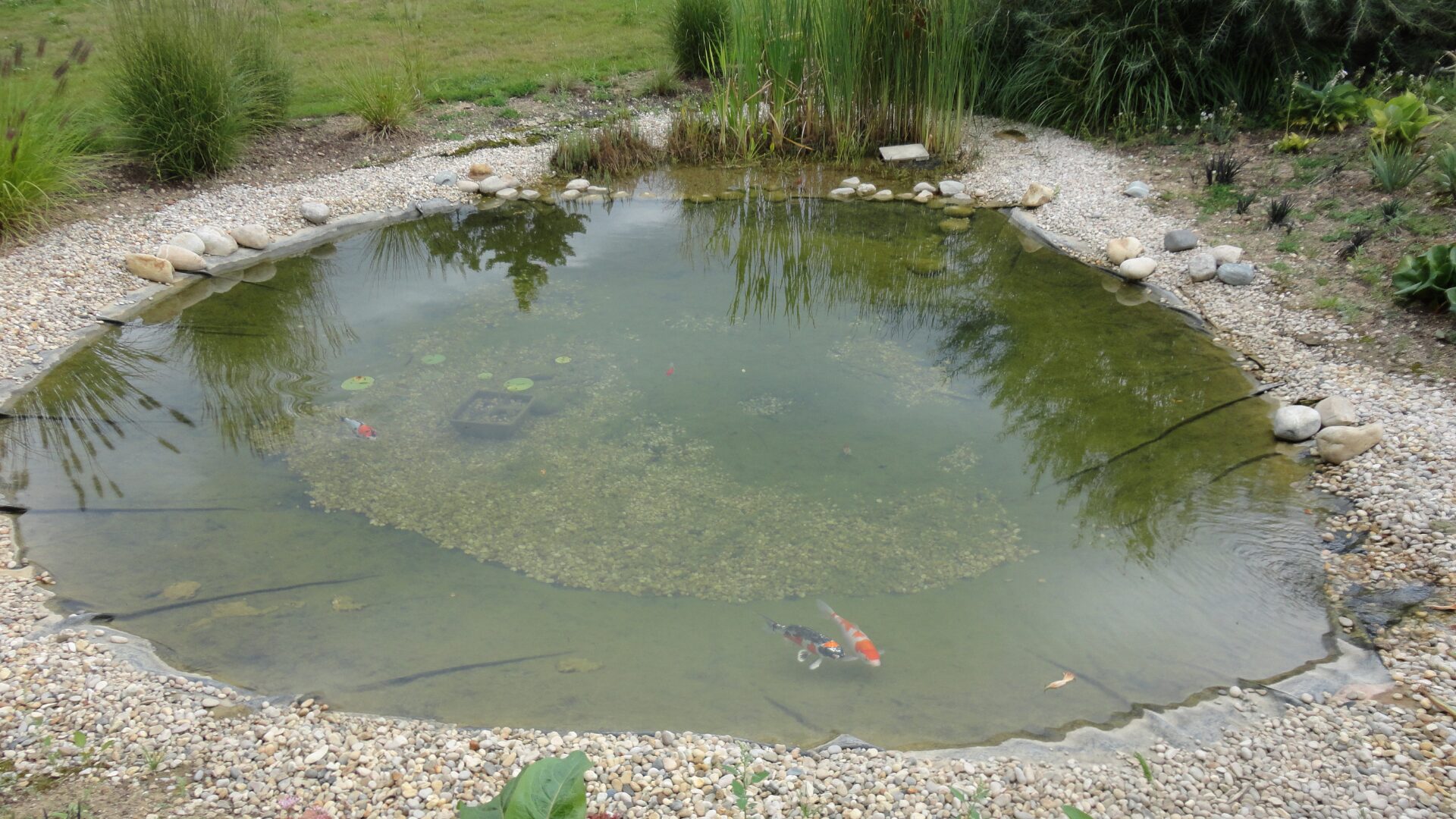 Zone aquatique Charlieu - Bassin