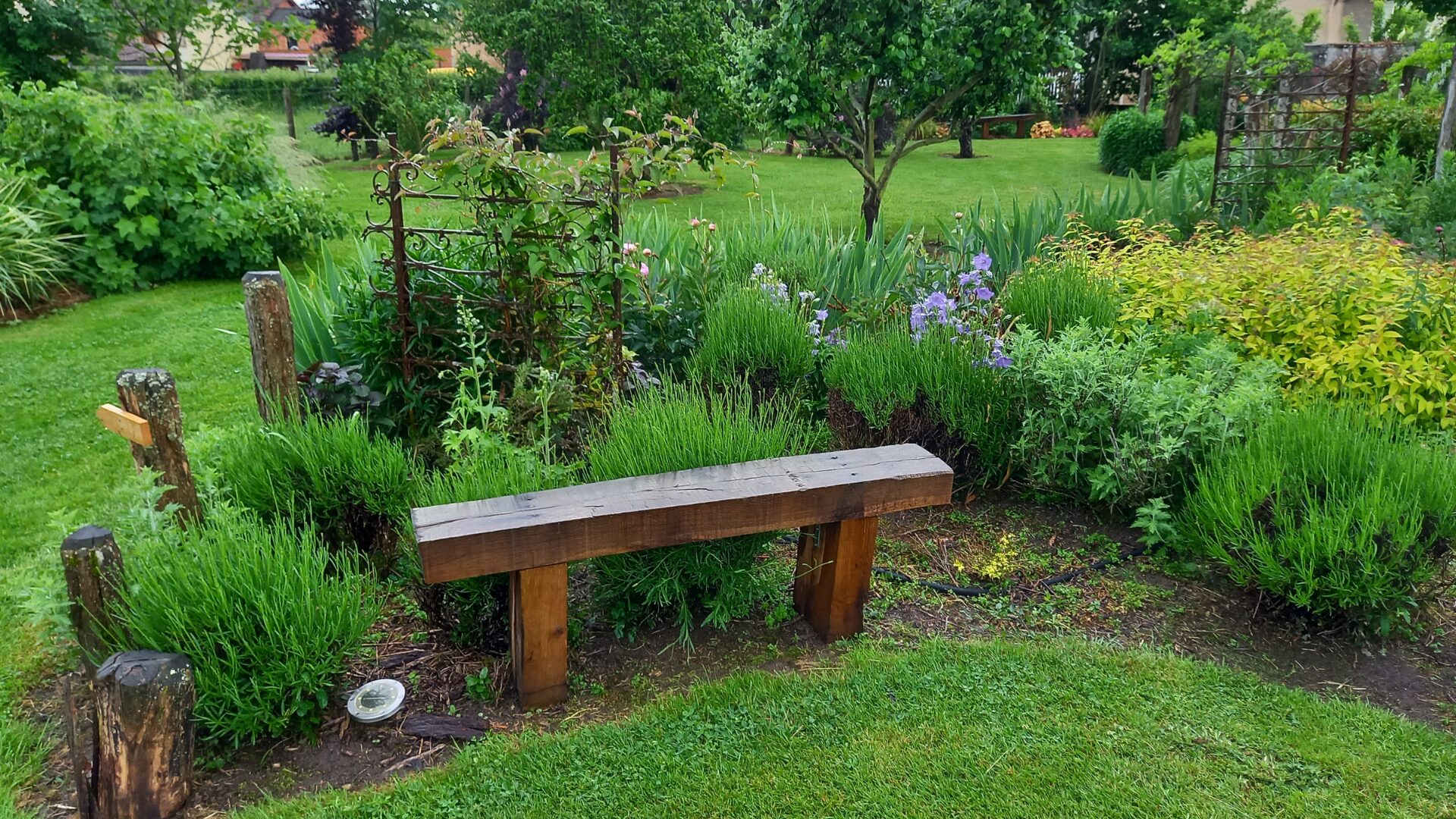 Taille des haies et arbustes Charlieu - jardin à l'anglaise