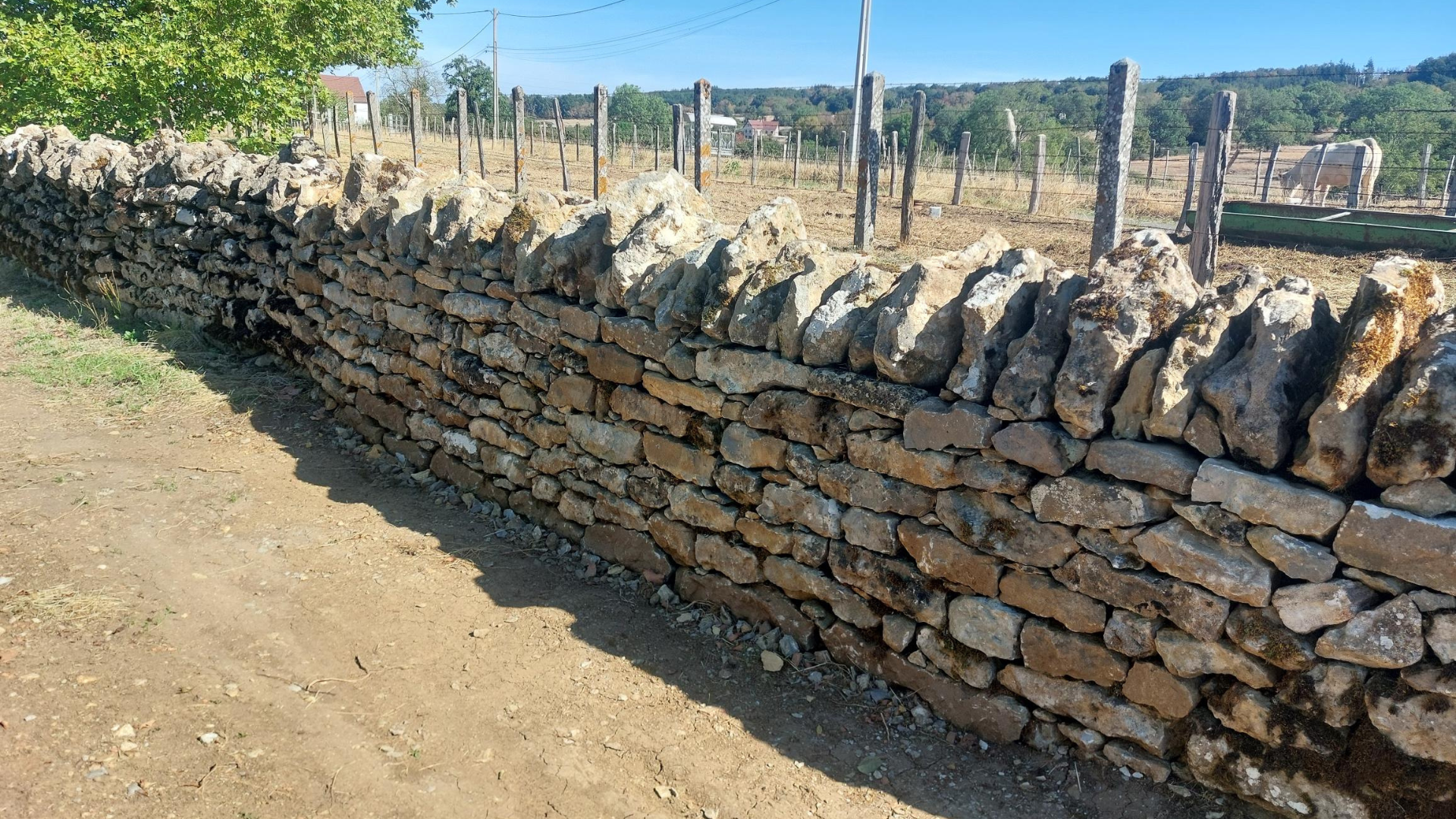 Amenagement de jardin Roanne - reprise mur en pierres
