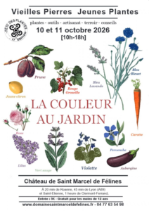 PAYSAGISTE ROANNE CHARLIEU PARAY - VIELLES PIERRES JEUNES PLANTES